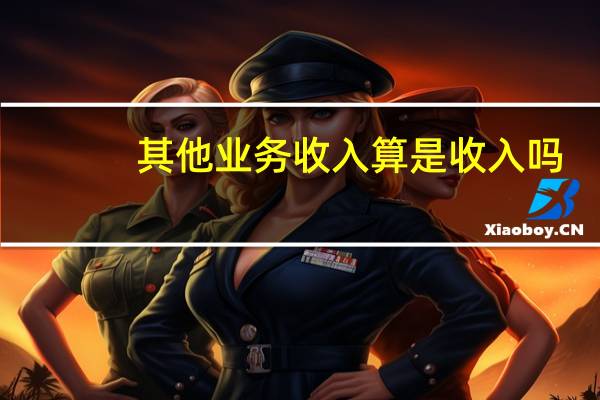 其他业务收入算是收入吗