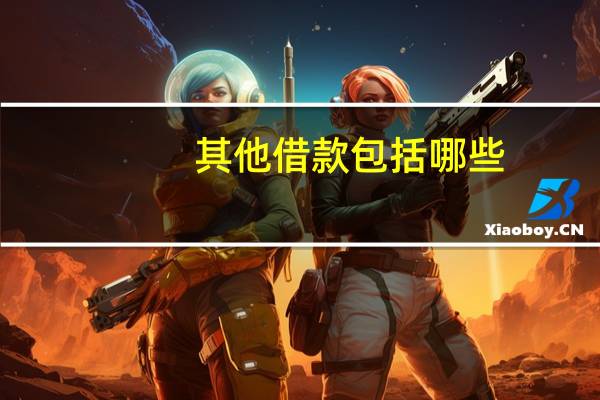 其他借款包括哪些