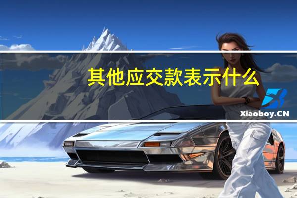 其他应交款表示什么