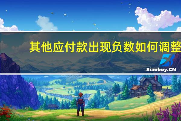 其他应付款出现负数如何调整