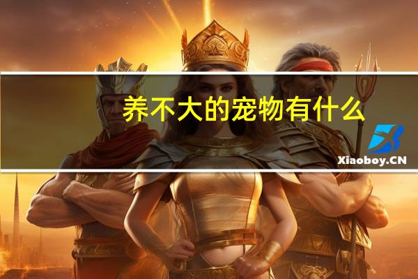 养不大的宠物有什么