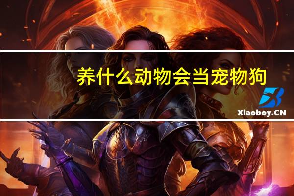 养什么动物会当宠物狗