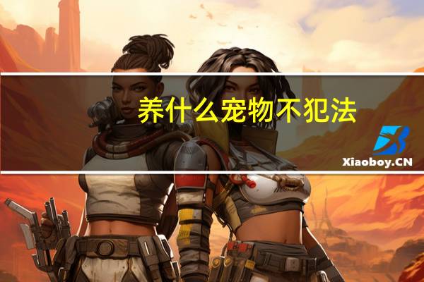 养什么宠物不犯法