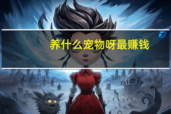 养什么宠物呀最赚钱