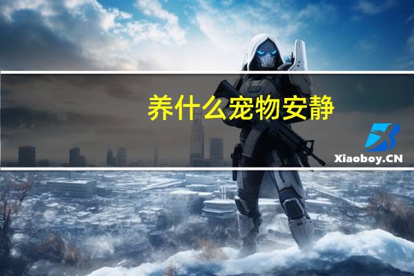 养什么宠物安静