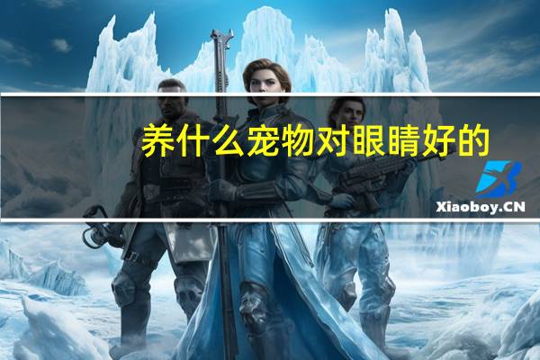 养什么宠物对眼睛好的