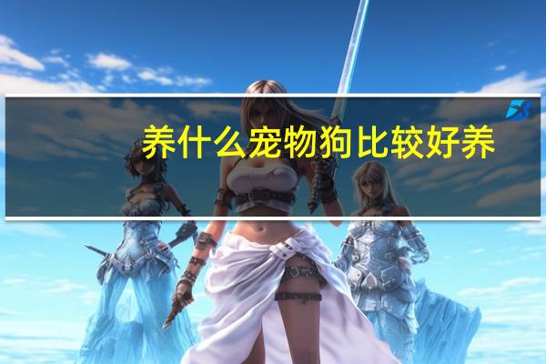 养什么宠物狗比较好养