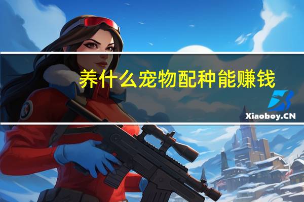 养什么宠物配种能赚钱