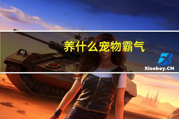 养什么宠物霸气