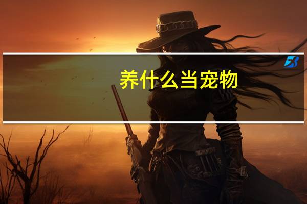 养什么当宠物