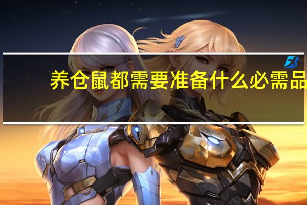 养仓鼠都需要准备什么必需品
