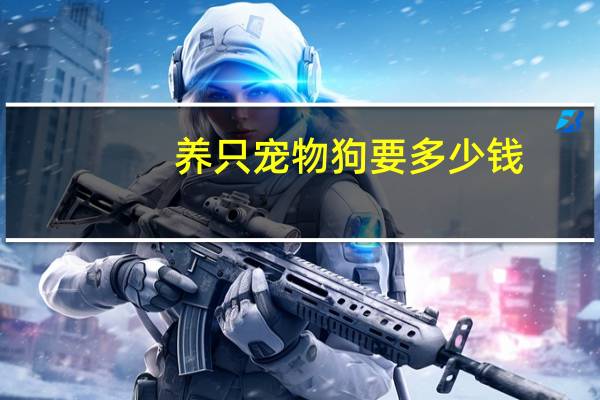 养只宠物狗要多少钱