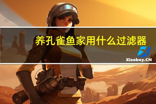 养孔雀鱼家用什么过滤器