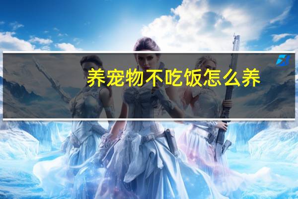 养宠物不吃饭怎么养