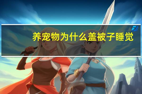 养宠物为什么盖被子睡觉