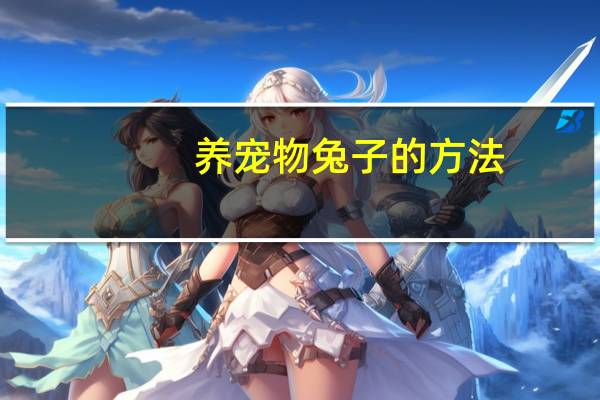 养宠物兔子的方法