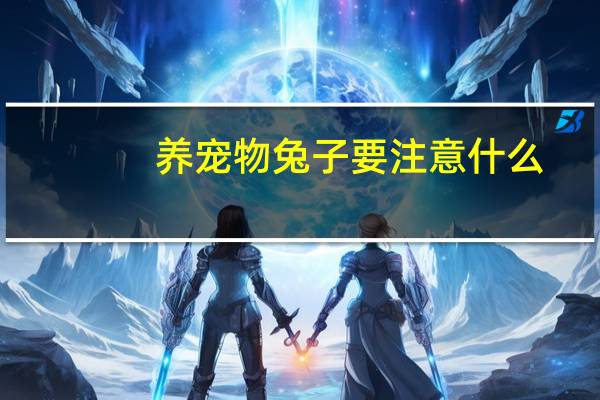 养宠物兔子要注意什么