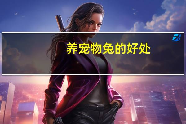 养宠物兔的好处