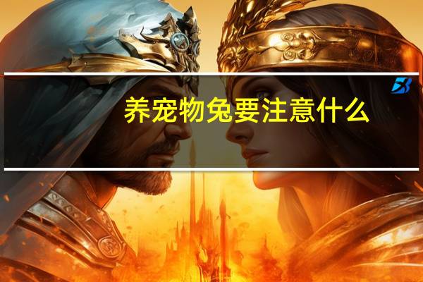 养宠物兔要注意什么