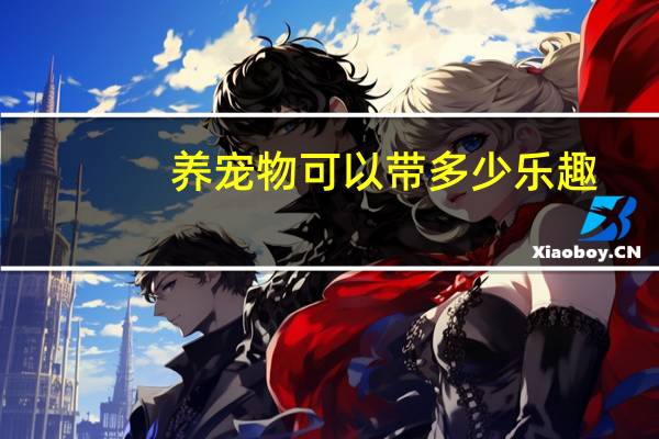 养宠物可以带多少乐趣