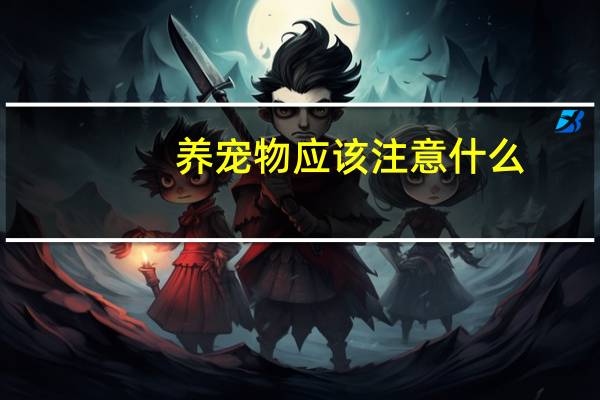养宠物应该注意什么