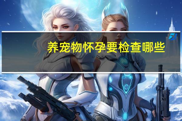养宠物怀孕要检查哪些