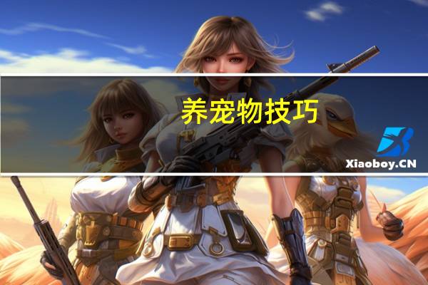 养宠物技巧