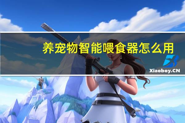 养宠物智能喂食器怎么用