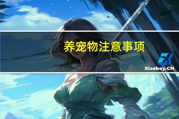 养宠物注意事项