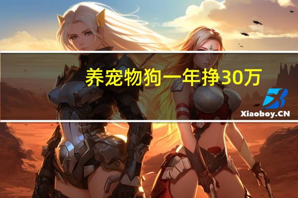 养宠物狗一年挣30万