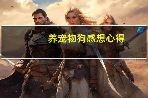 养宠物狗感想心得