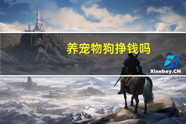养宠物狗挣钱吗