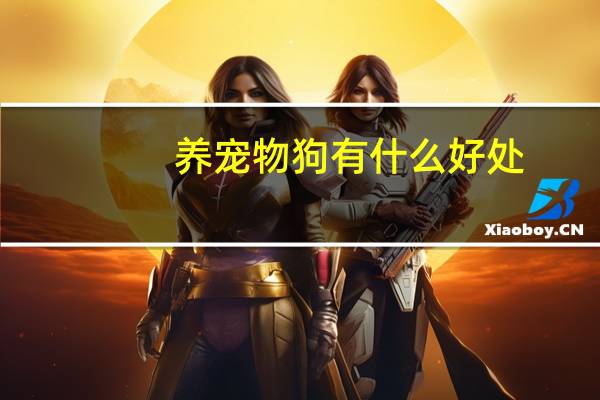 养宠物狗有什么好处