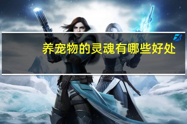养宠物的灵魂有哪些好处