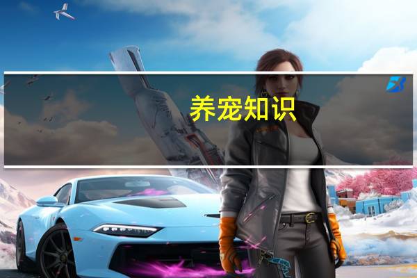 养宠知识：狗狗腿瘸了多久自愈