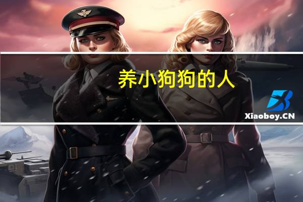 养小狗狗的人