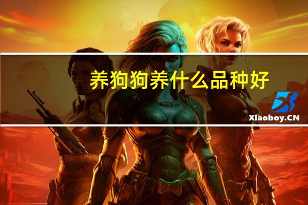 养狗狗养什么品种好