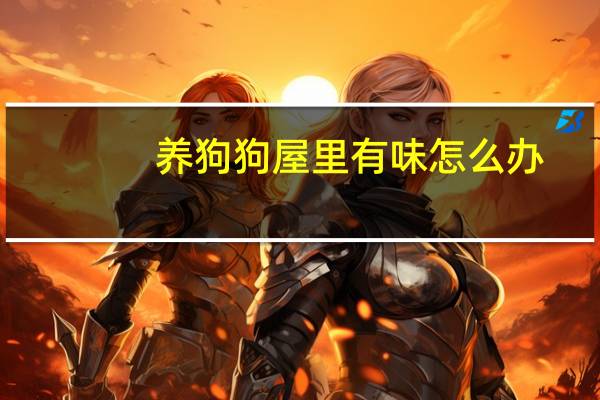 养狗狗屋里有味怎么办