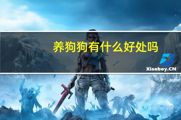 养狗狗有什么好处吗