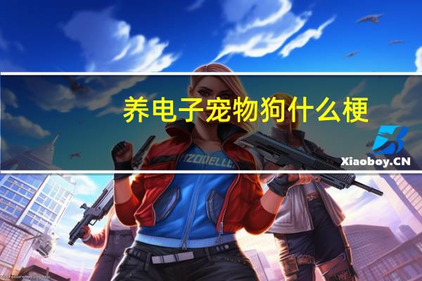 养电子宠物狗什么梗