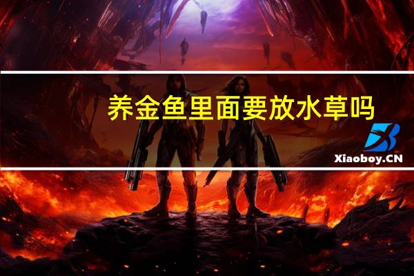 养金鱼里面要放水草吗