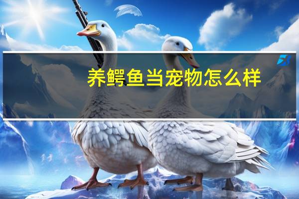 养鳄鱼当宠物怎么样