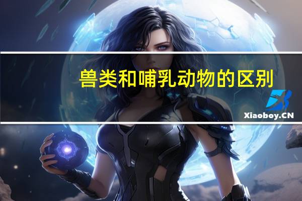 兽类和哺乳动物的区别