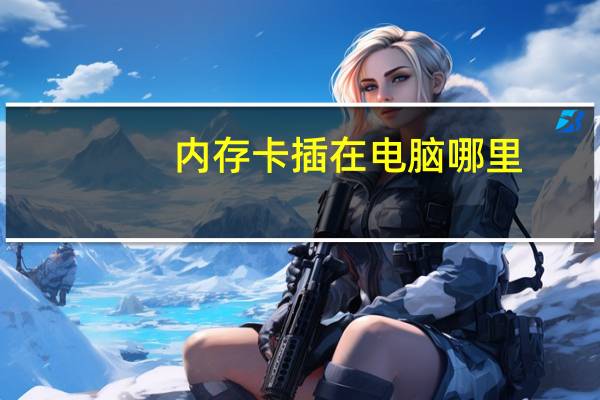 内存卡插在电脑哪里