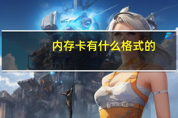 内存卡有什么格式的