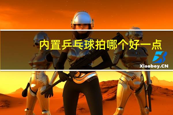 内置乒乓球拍哪个好一点
