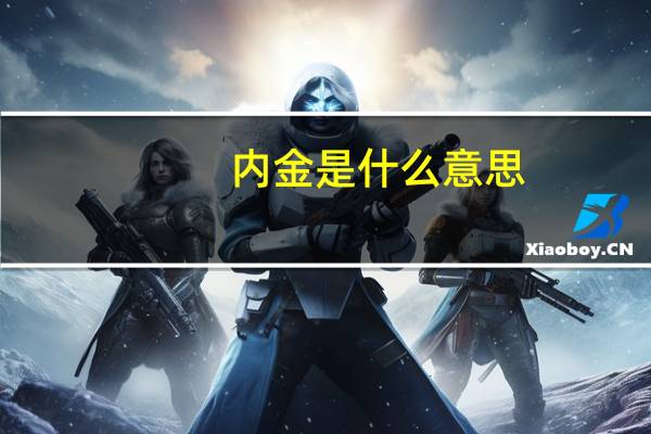 内金是什么意思