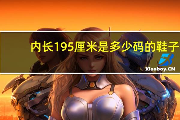内长195厘米是多少码的鞋子