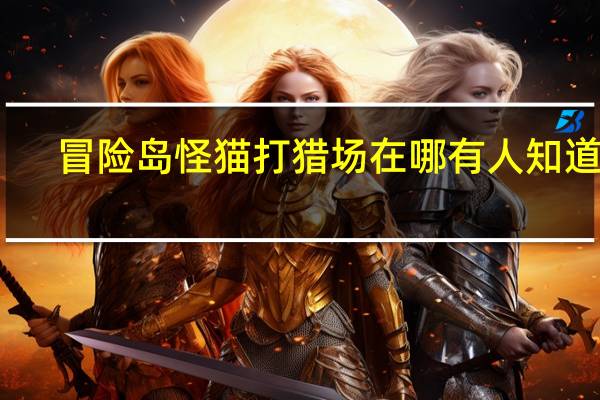 冒险岛怪猫打猎场在哪有人知道吗