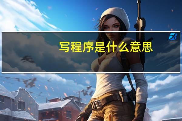 写程序是什么意思